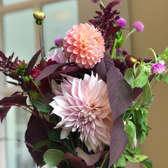 Meet your Posher, Jana - Picture 2 of 2